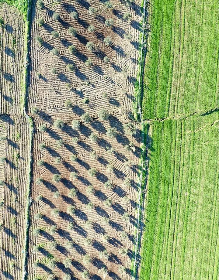 Il Mondo dei Terremoti tweet media