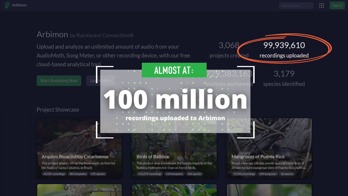 RainforestCx's tweet photo. THE COUNTDOWN BEGINS! ⏳ - We're almost at 100 million audio recordings in #arbimon!
✨Will YOU be the one to upload the 100 millionth?!? ✨
#data #rfcx #usingtechtoprotect #countdown https://t.co/AW0R5Q7c5h