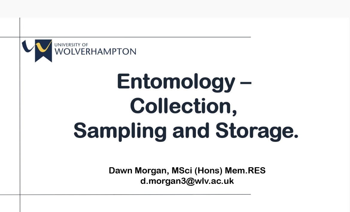 _Dawn_M's tweet image. Lecture I gave today. Not sure the students were impressed with my #myasis pictures though 😬. There were a few ewwwwwws to be heard when I got to that slide 😂. #whoops #needastrongstomach #experience #teaching #entomology