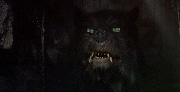 Michael Matteo Rossi tweet media