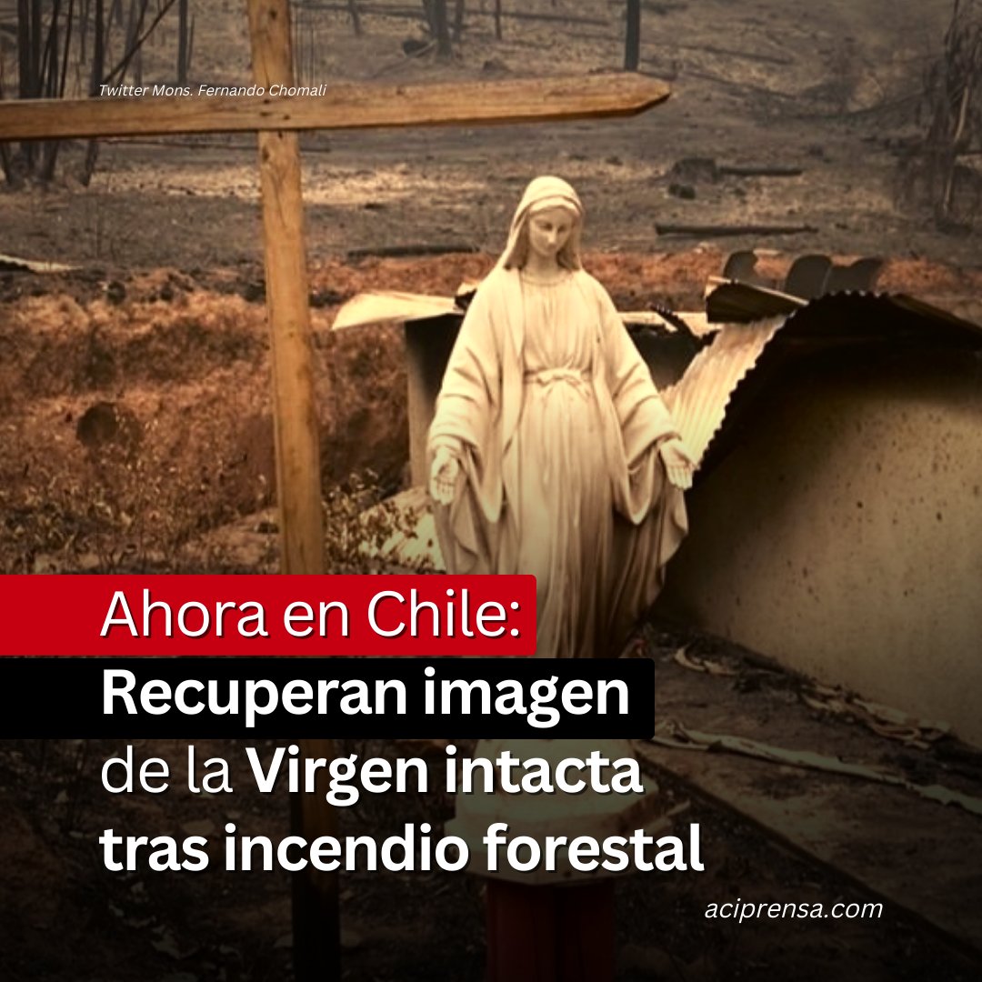 aciprensa tweet picture