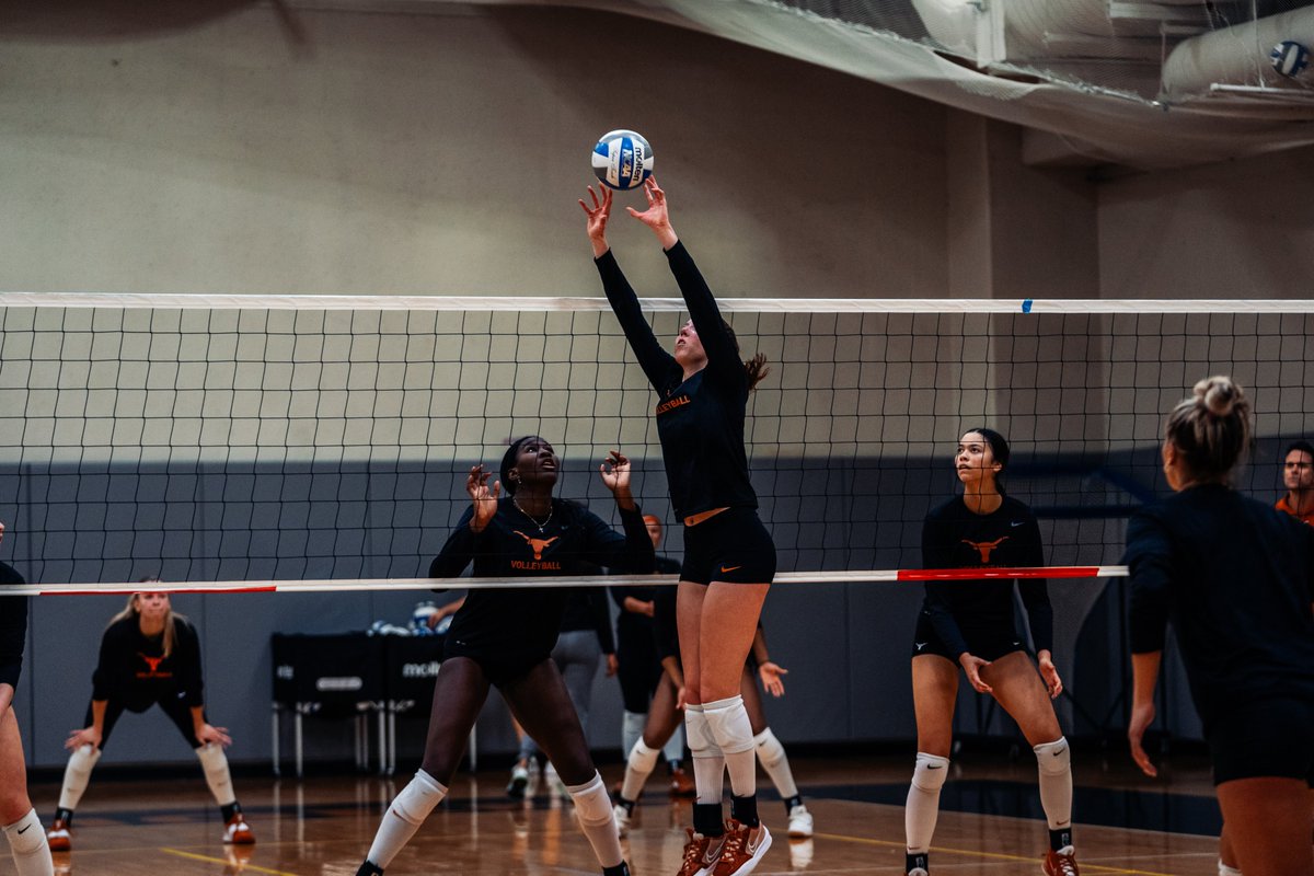 Texas Volleyball tweet media