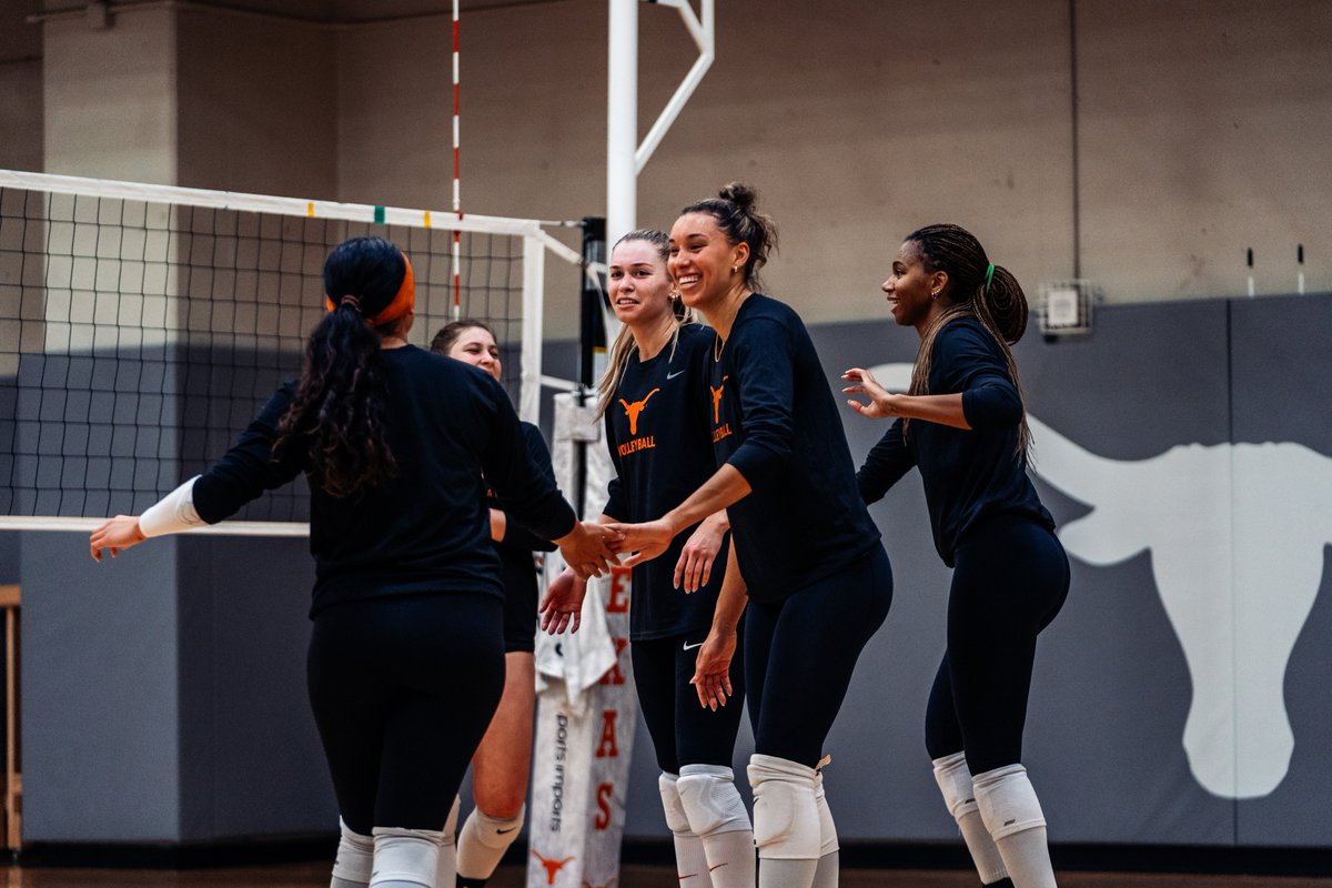 Texas Volleyball tweet media