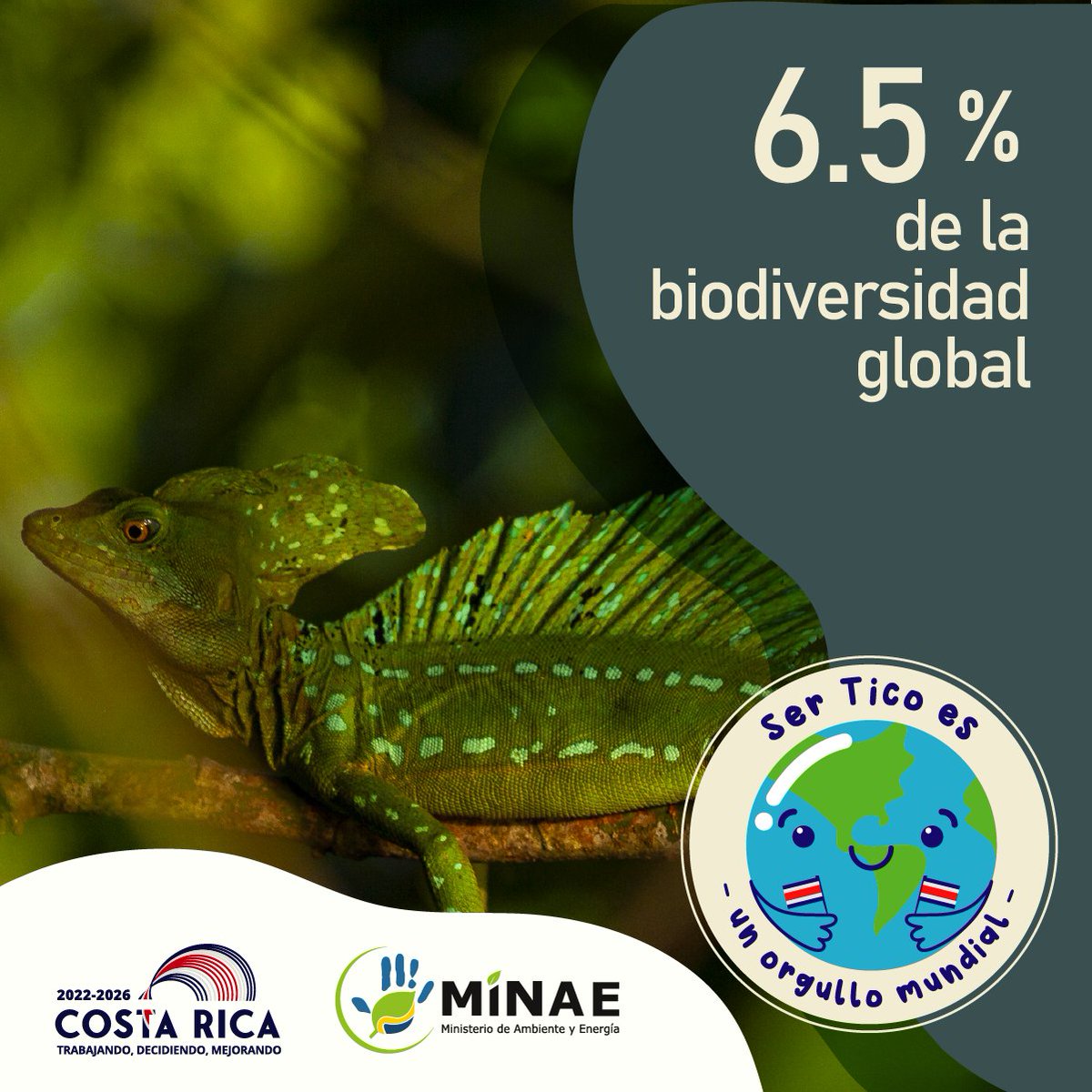CRMinae's tweet photo. Costa Rica se encuentra dentro del selecto grupo de los 25 países más megadiversos del mundo. Por esto debemos ser responsables y cuidar las riquezas naturales de nuestro país. 

Nuestras riquezas naturales, son nuestro tesoro. Conservémoslas. https://t.co/vDhph9PMNb
