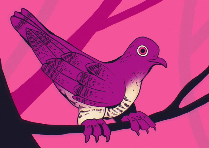 Nightmare Cuckoo #GoshBFDD 