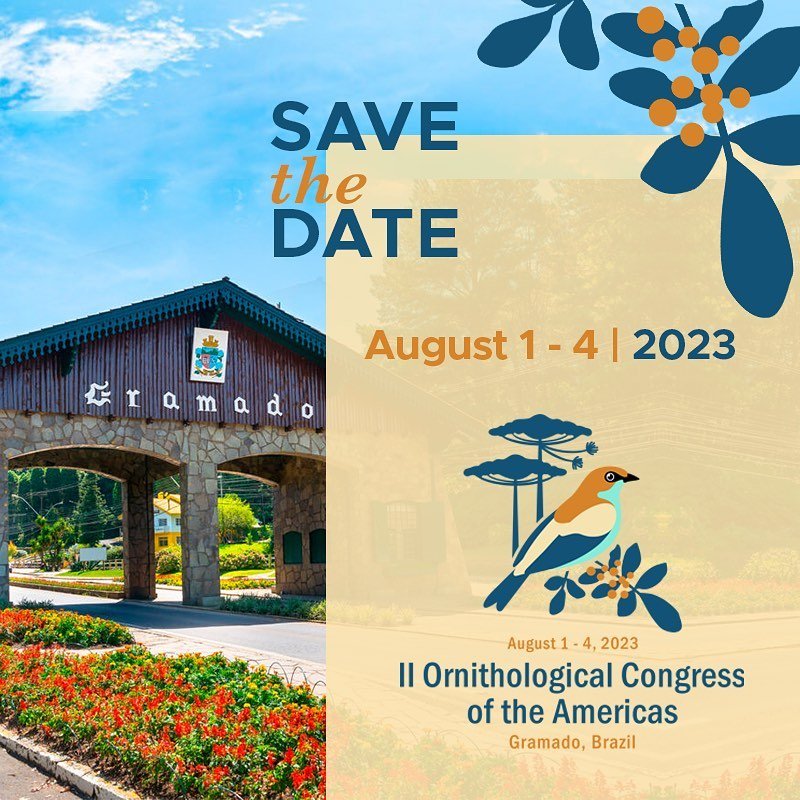 The 2nd Ornithological Congress of the Americas will take place in Brazil, in the city of Gramado, from August 1 to 4, 2023. 🦉🦅🦆

More information very soon!