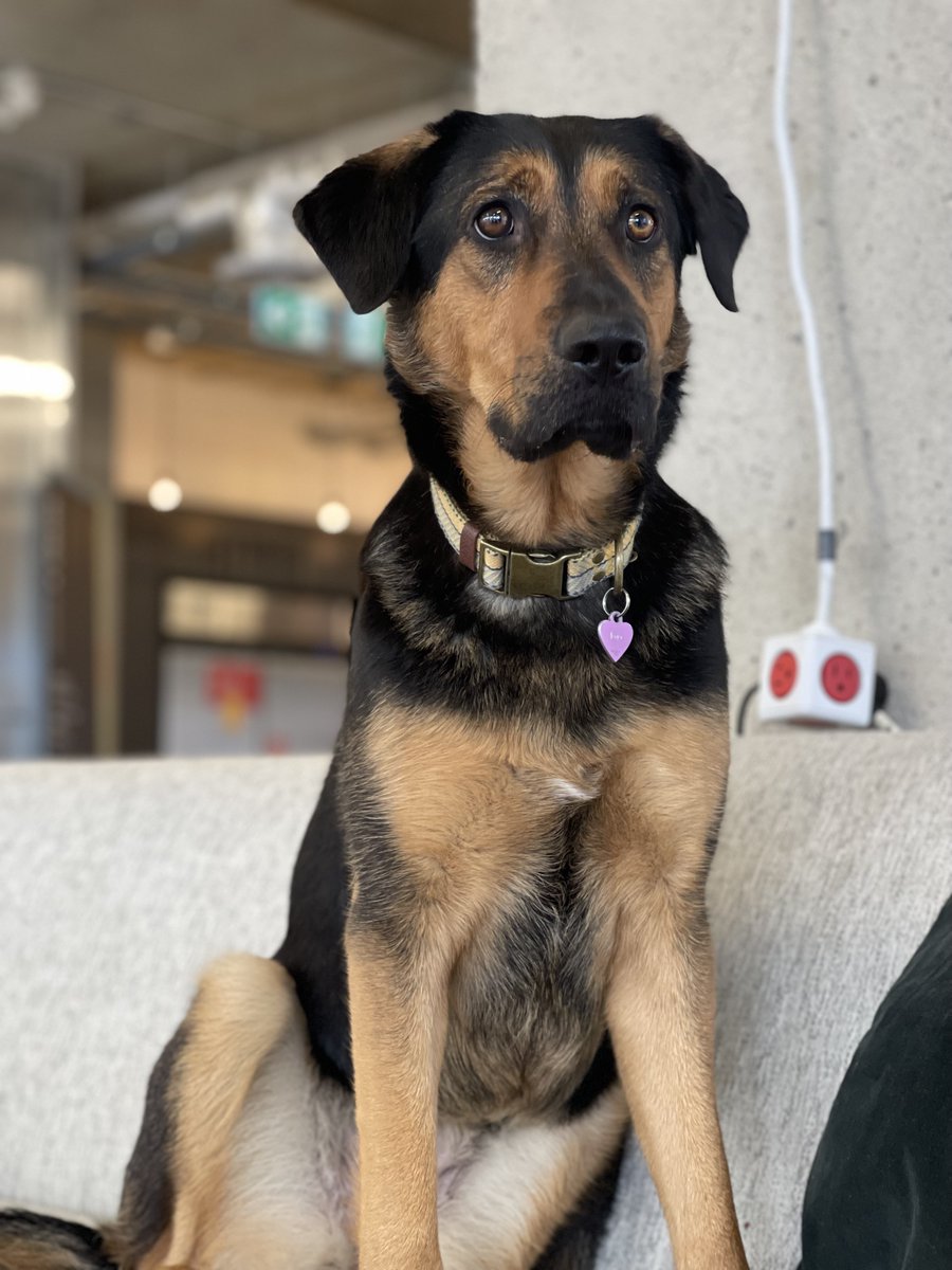 Work Nicer Coworking tweet media