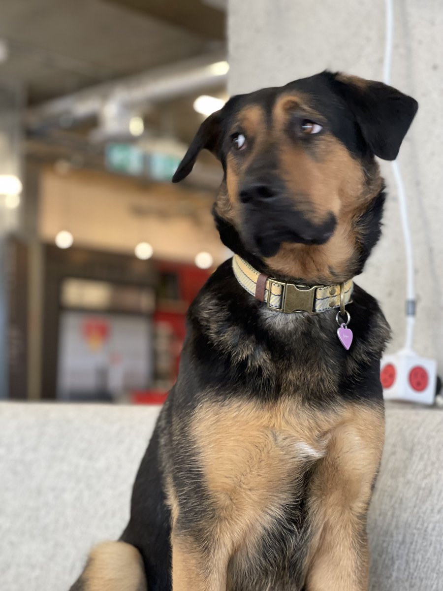 Work Nicer Coworking tweet media