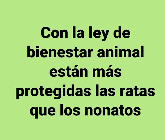 JoseAMarcello's tweet photo. https://t.co/E8BRDebQhw
