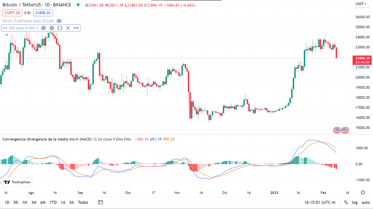 Conex Agency tweet media