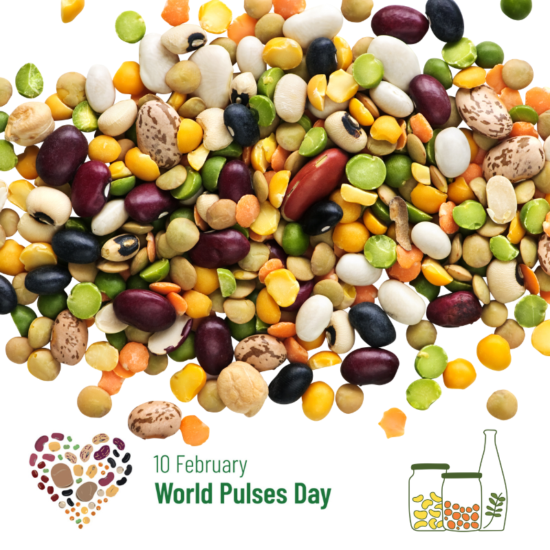 Village_Foods's tweet photo. We have heaps of great bean and lentil recipes on our website to help you celebrate ‘World Pulses Day’
Lemony Lentil Soup and ‘Anytime’ Dahl are two of our favourites, but there’s also Hummus and Spicy Roasted Chickpeas and a killer Baked Beans recipe.
#worldpulsesday #lovepulses https://t.co/SIszKS4mZr