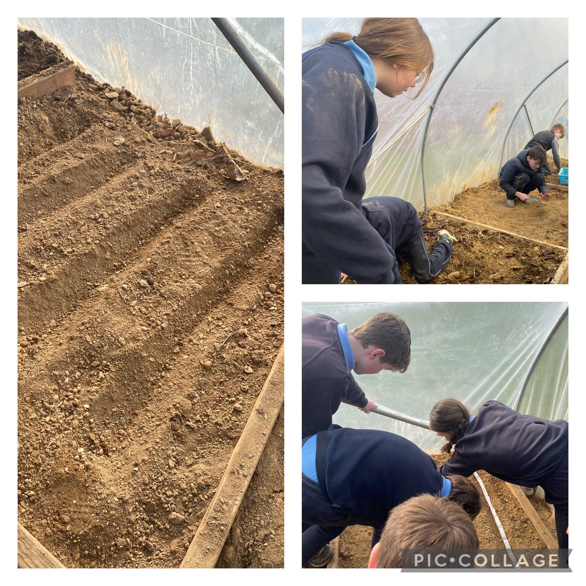 Thank you to Fergal Joy from <a href="/tirlan_/">Tirlán</a> coming out to chat to us today with tips to get started sowing for the spring! We are looking forward to lots of veg and flowers! @RathnureNS <a href="/GreenSchoolsIre/">Green-Schools</a> #biodiversity #SpringIsComing