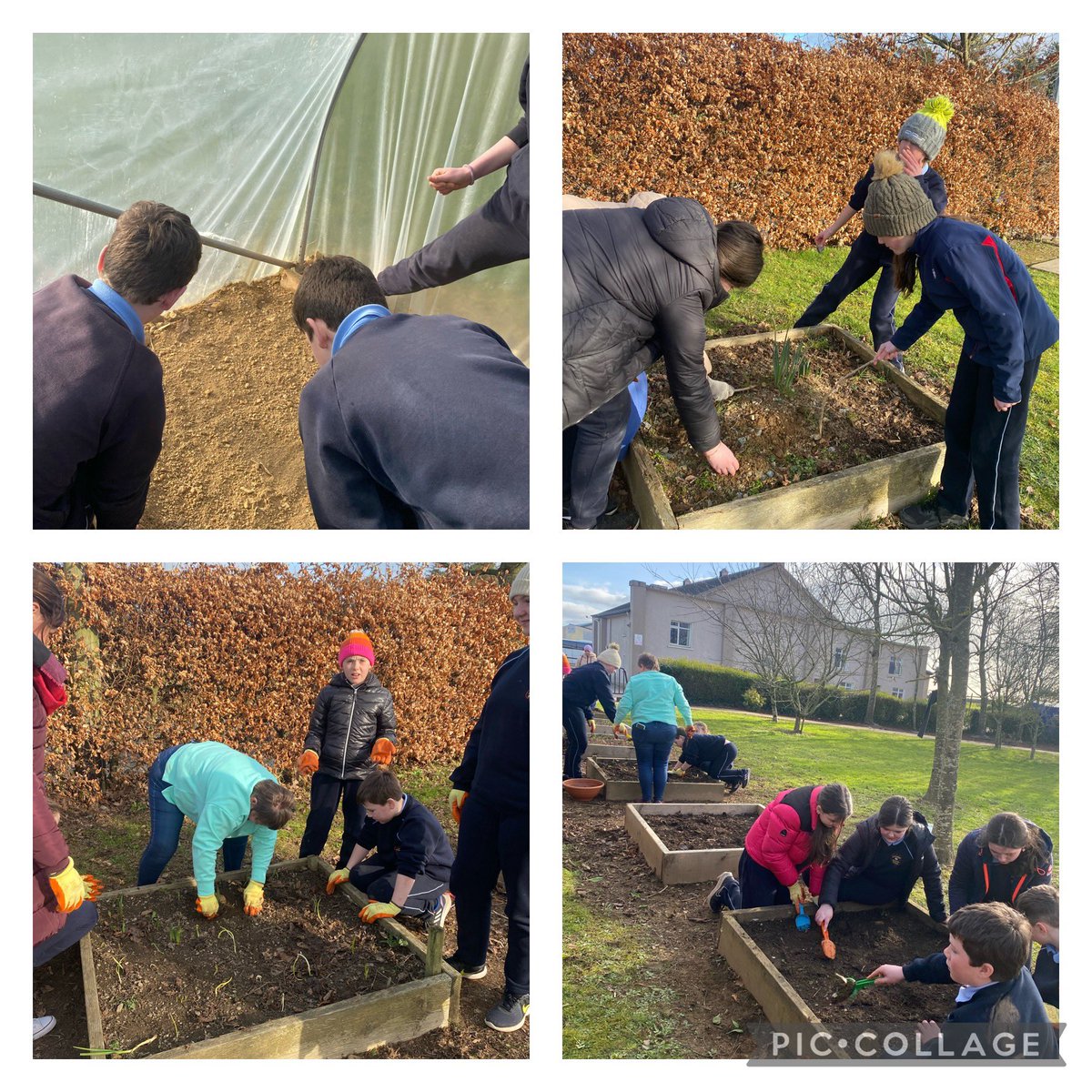 RathnureGreen's tweet photo. Thank you to Fergal Joy from @tirlan_ coming out to chat to us today with tips to get started sowing for the spring! We are looking forward to lots of veg and flowers! @RathnureNS @GreenSchoolsIre #biodiversity #SpringIsComing https://t.co/Wsv1Y7NQQi