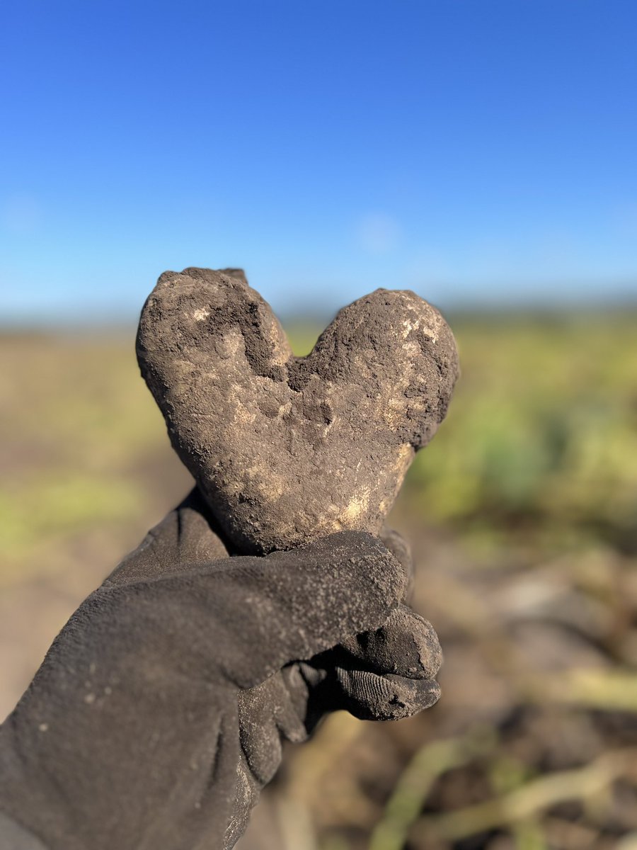 gastonviani's tweet photo. A veces se nos va la mano con el amor que le damos a nuestras papas
.
.
.
.
#POTATO #balcarce #sudeste #frenchfries #potatocrops https://t.co/0jDQjDlw09