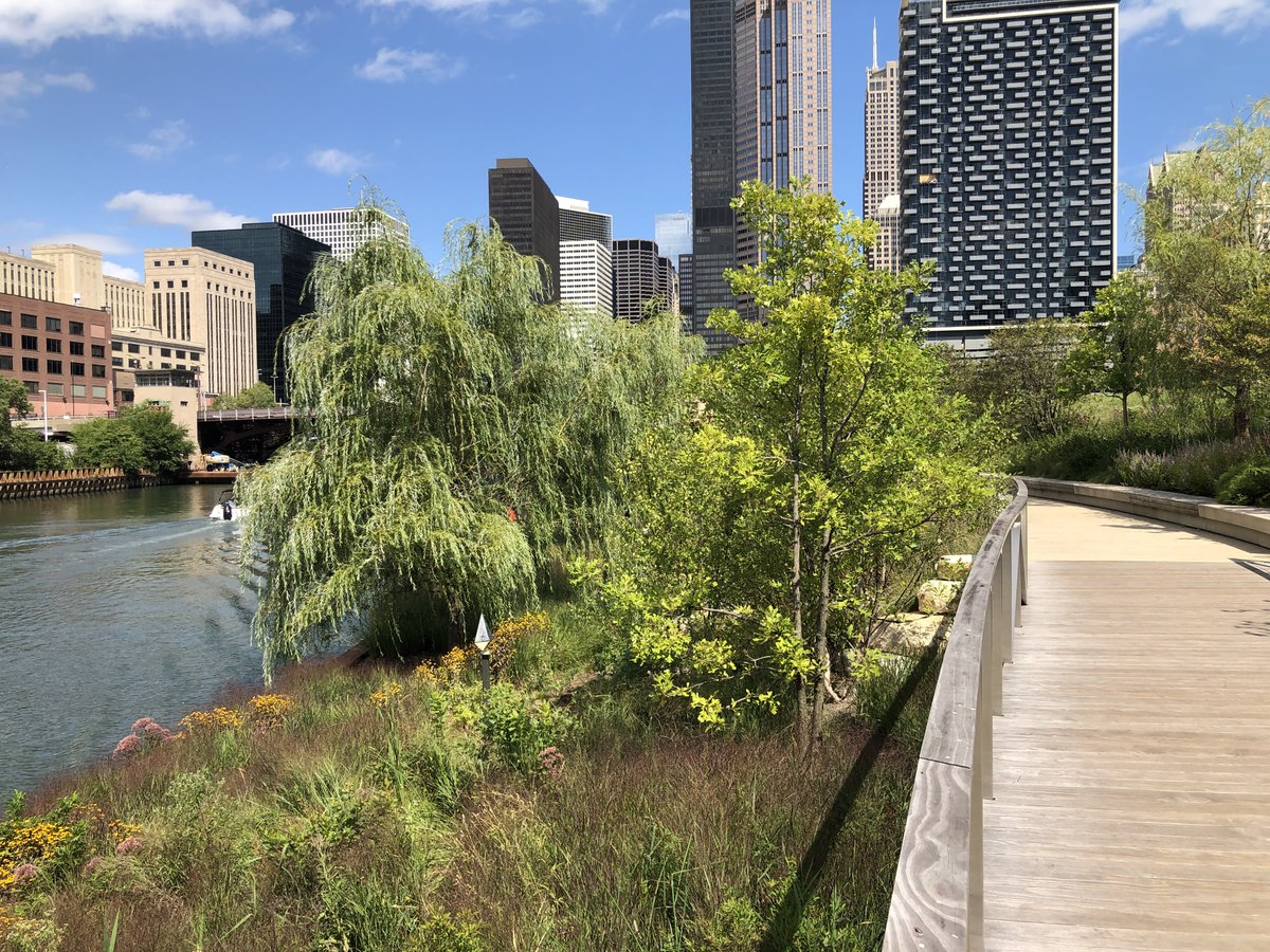 Today is an #overflowactionday so reduce your water use to protect the river and its wildlife-and consider how can nature-based stormwater management solutions help nature and help you. @chicagoriver @MWRDGC @ilenviro @Openlands @Skilling