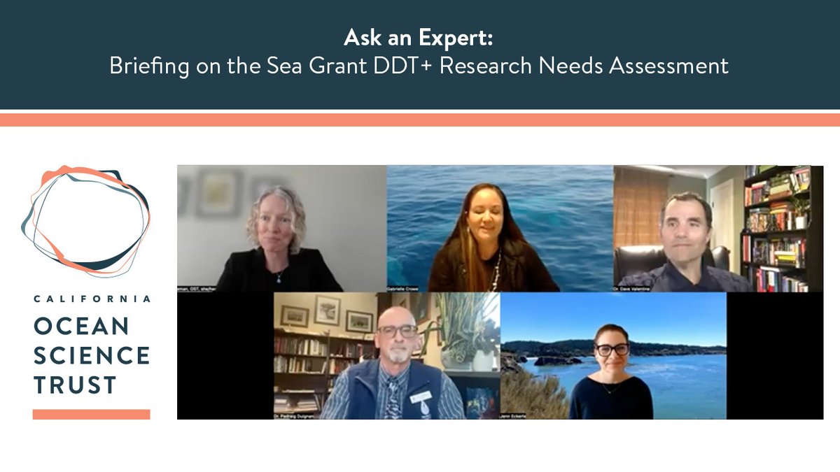 CaliforniaOST's tweet photo. You can watch a recording of our recent online briefing w/ @CASeaGrant &amp; @USCSeaGrant on the newly released DDT+ Research Needs Assessment. Experts and authors discuss critical research investments, immediate actions &amp; more.

Presented in Partnership w/ @AsmLowenthal #CALeg #DDT https://t.co/JNygy5nWIa