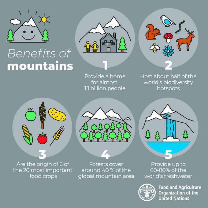 UNBiodiversity's tweet photo. What are the benefits of mountains?⛰🏔🗻

Mountains constitute about half of the world’s #biodiversity hotspots.

They’re indispensable for people and #ForNature! 🌿💚

via @fao https://t.co/7xV5HhGeQt