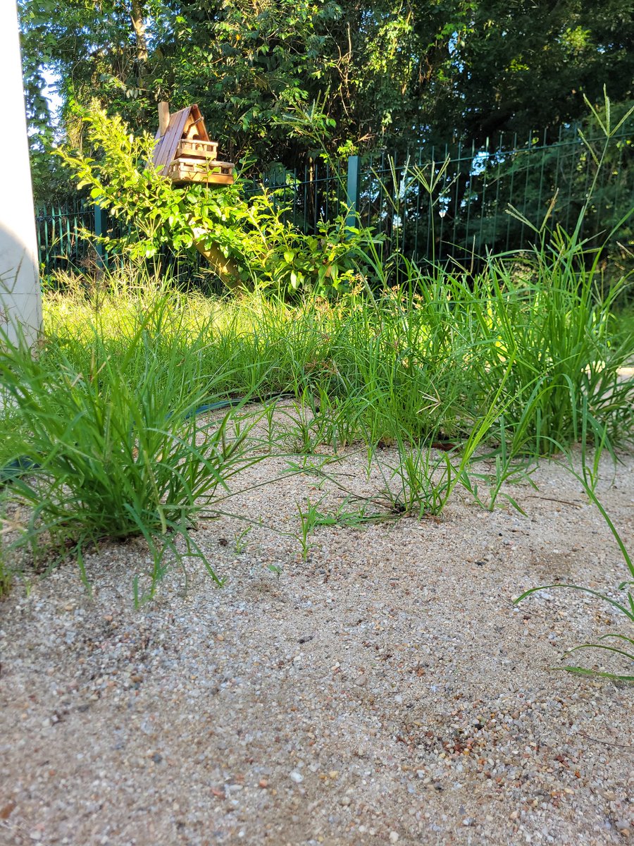 Giselle Machado tweet media