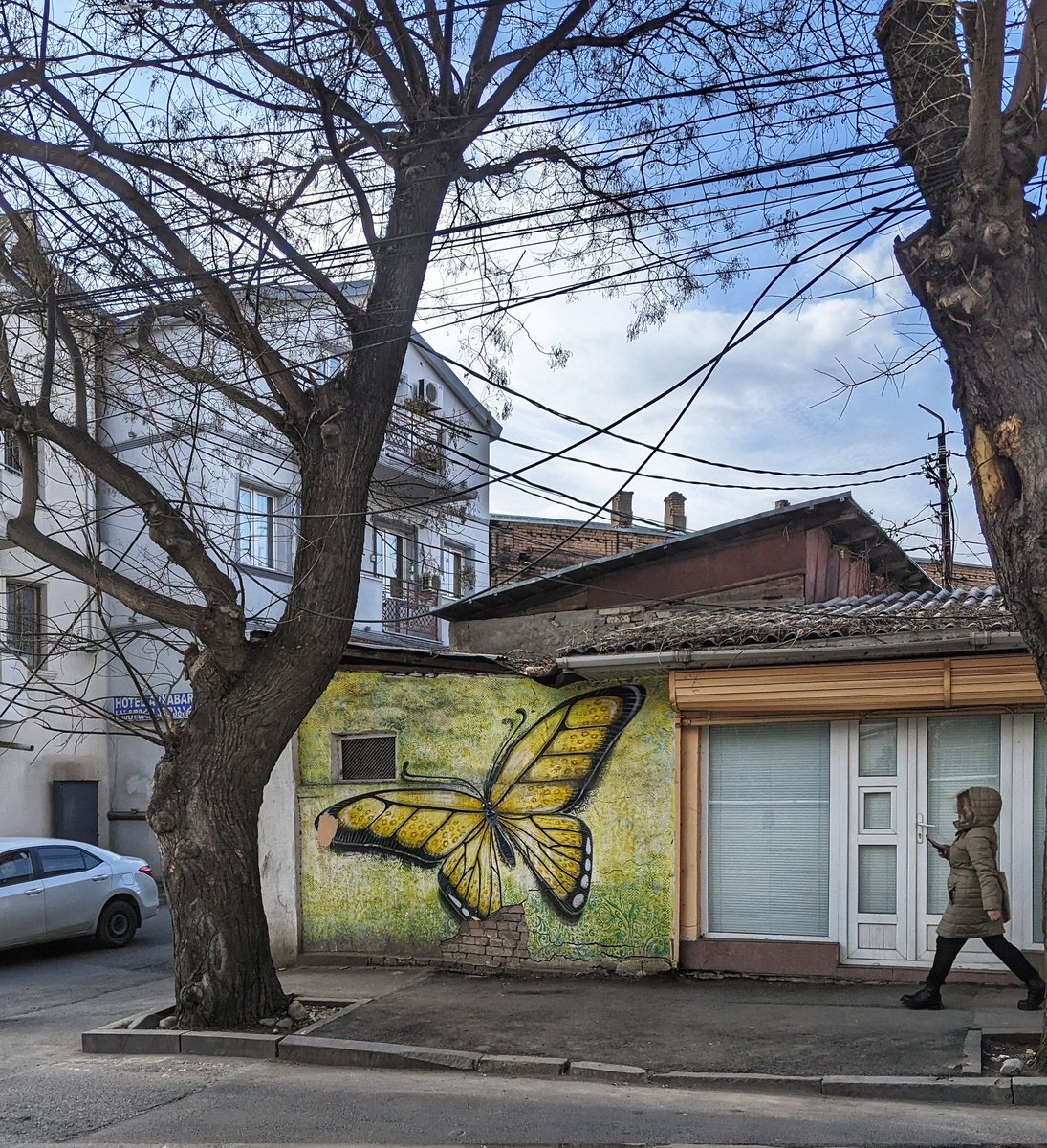GeorgiaPictures's tweet photo. Butterfly π¦ mural on a wall in Tbilisi's Avlabari area
#avlabari https://t.co/0SSSLc19Kd