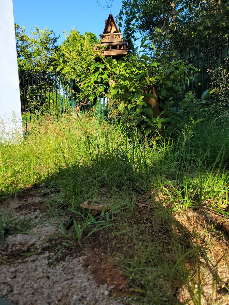 Giselle Machado tweet media