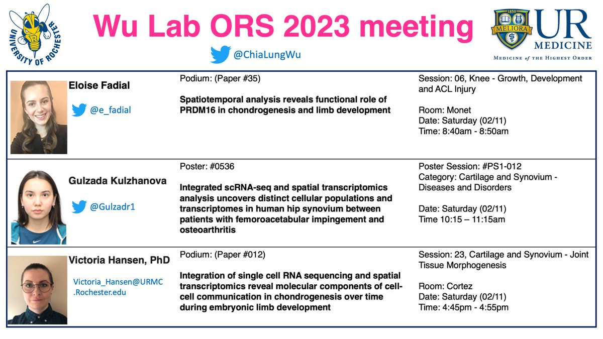 Chia-Lung Wu (@chialungwu) on Twitter photo Extremely excited to share our work #ORS2023 from these amazing scientists! Please stop by our presentations and give us your feedback!
<a href="/e_fadial/">Eloise Fadial</a>, <a href="/Gulzadr1/">Gulzada Kulzhanova 🇺🇦🇰🇿</a>, and Victoria!! <a href="/ROC_CMSR/">Rochester CMSR</a> #URochesterResearch Extremely excited to share our work #ORS2023 from these amazing scientists! Please stop by our presentations and give us your feedback!
<a href="/e_fadial/">Eloise Fadial</a>, <a href="/Gulzadr1/">Gulzada Kulzhanova 🇺🇦🇰🇿</a>, and Victoria!! <a href="/ROC_CMSR/">Rochester CMSR</a> #URochesterResearch