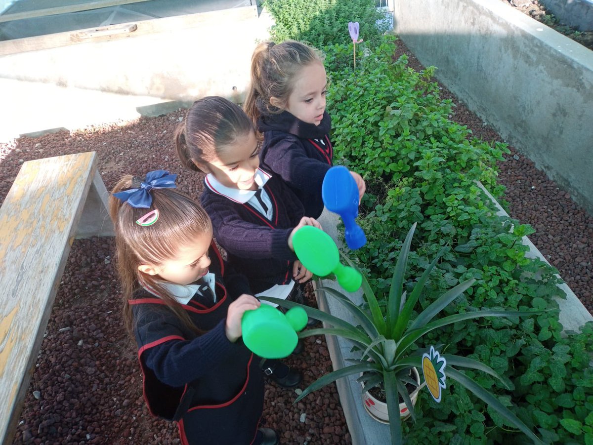 Jesus5Eco's tweet photo. @ONUHabitatMex @ElkinVelasquezM @ONUMX @CINUmexico @ONUHabitatMex queremos contactarles y crear alianzas estratégicas; soy presidente Ecosteps AC y con +4 años asesorando escuelas en Sustentabilidad basados en SGA de ISO14001, hoy estamos generando el “Certificado Escuela Verde” junto con una universidad https://t.co/RpPiTtK6Jq https://t.co/9owW9wYHTH