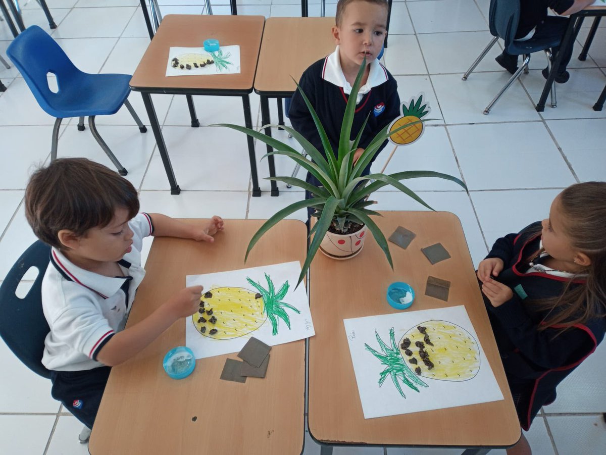 Jesus5Eco's tweet photo. @ONUHabitatMex @ElkinVelasquezM @ONUMX @CINUmexico @ONUHabitatMex queremos contactarles y crear alianzas estratégicas; soy presidente Ecosteps AC y con +4 años asesorando escuelas en Sustentabilidad basados en SGA de ISO14001, hoy estamos generando el “Certificado Escuela Verde” junto con una universidad https://t.co/RpPiTtK6Jq https://t.co/9owW9wYHTH