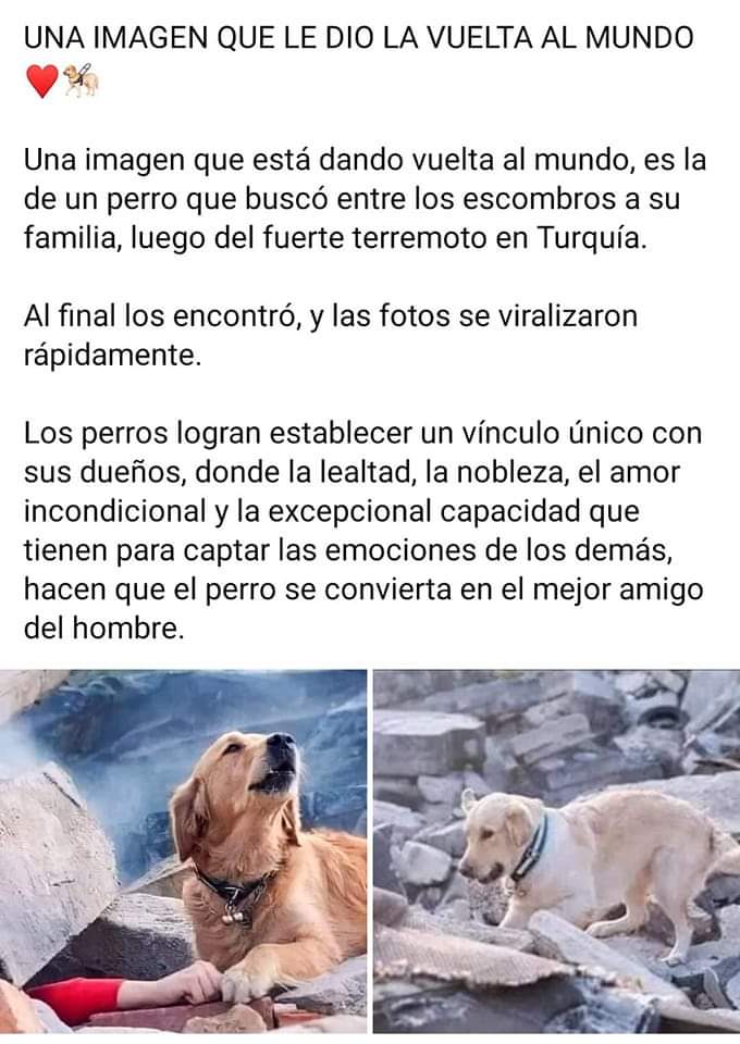 Ellos son El Ser en estado puro como los niños muy pequeños, después los niños crecen y ya son ego 😢 💔