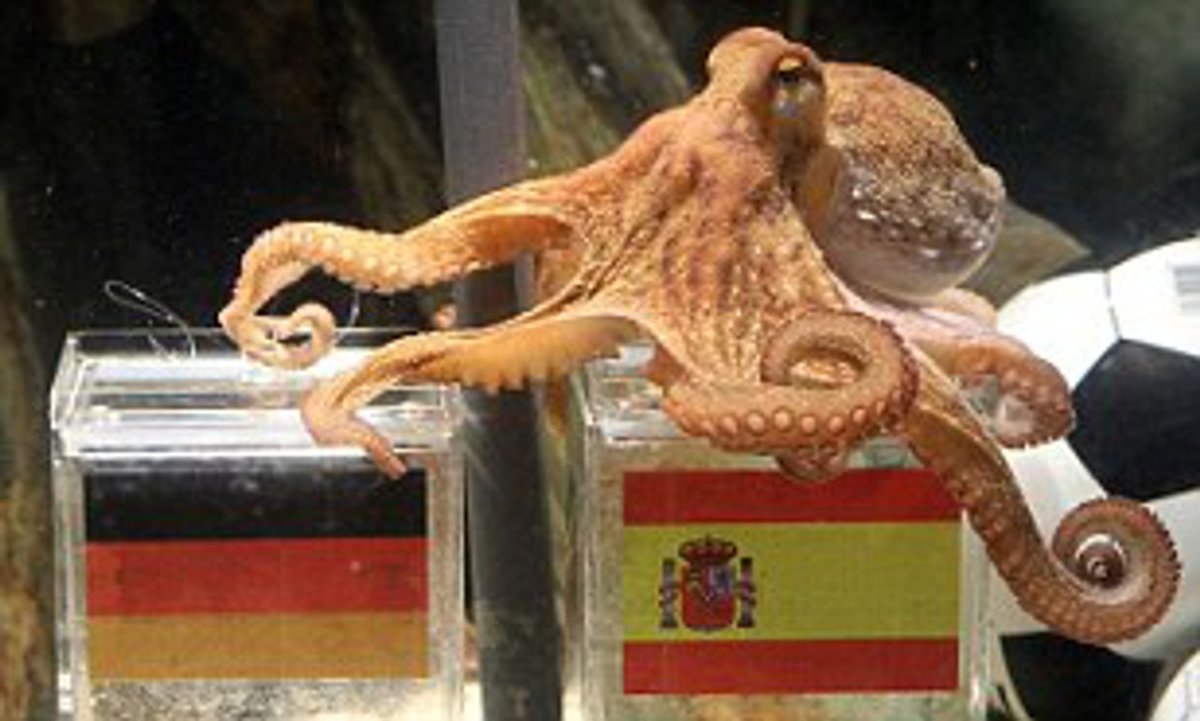 How comes an octopus is more psychic than <a href="/PatienceWayward/">Patience Turner ||Emu Family RP||</a> … 😏