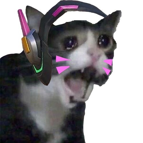 kira_feng_'s tweet photo. https://t.co/YKsHTLicTn
Live on Twitch playing Overwatch ❣️
Click the link if you wanna hang out for a bit 😇
#Overwatch2 #Overwatch #dva #dvacat #Twitch #twitchtv #twitchaffiliate #streamer #overwatchstreamer #live #livestream #chill #support https://t.co/vJjn15CC1V
