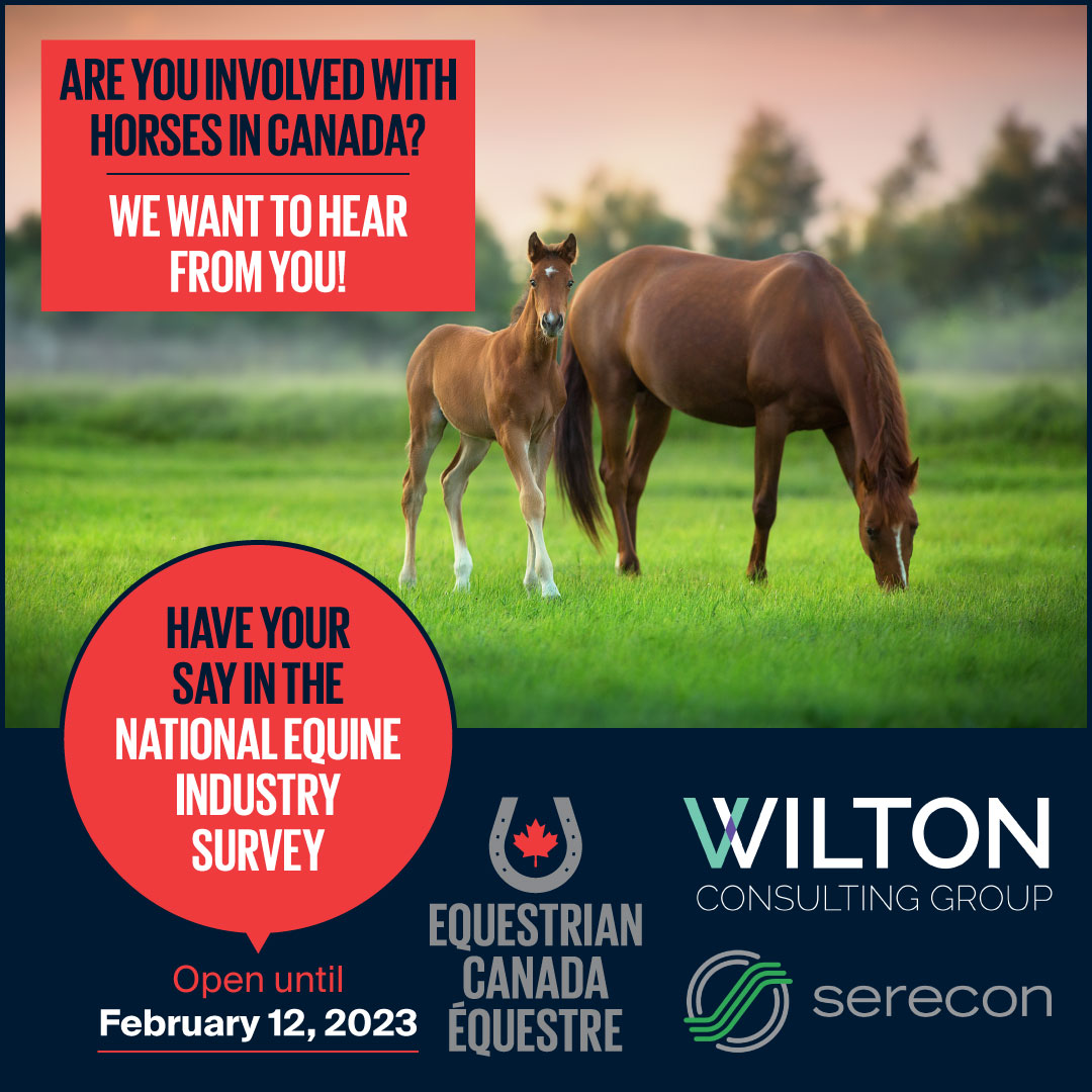 Equestrian Canada Équestre tweet media