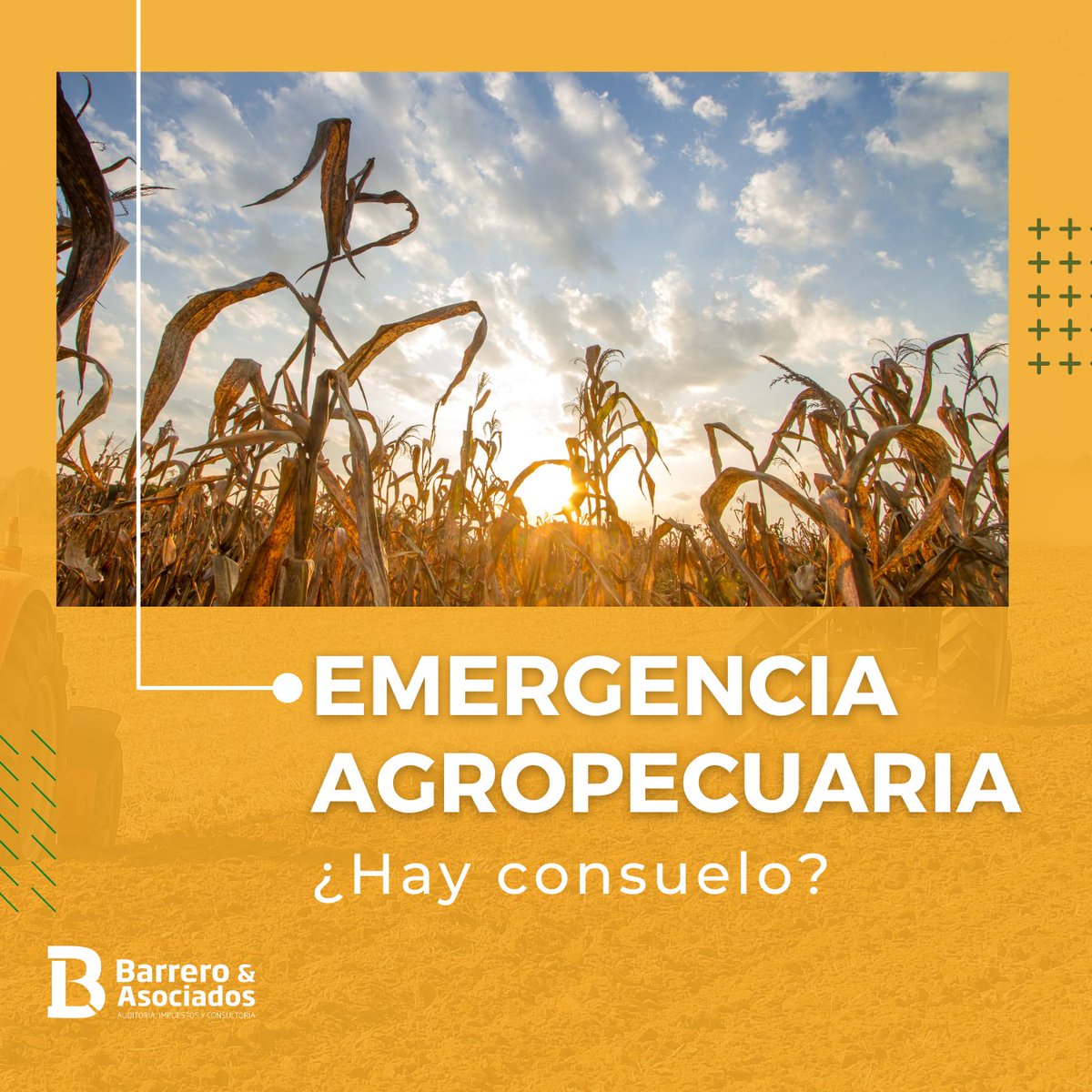 Barrero & Asoc tweet media