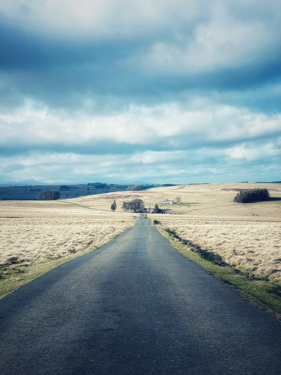 Terry Abraham tweet media