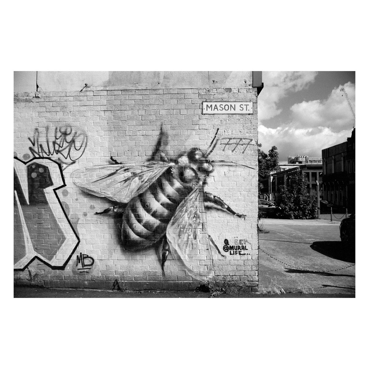 Bee Mural, Manchester, UK

📷: @PENTAXIAN LX
🎞️: @FujifilmUK Acros II

#urbanphotography #urban #urbantexture #manchester #england #graffiti #filmphotography #filmisnotdead #pentax #fujiacros #shotonfilm #analogphotography #analog #analogue #mural #manchesterbee #bee