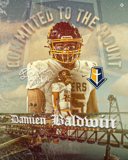 Damien Baldwin tweet media