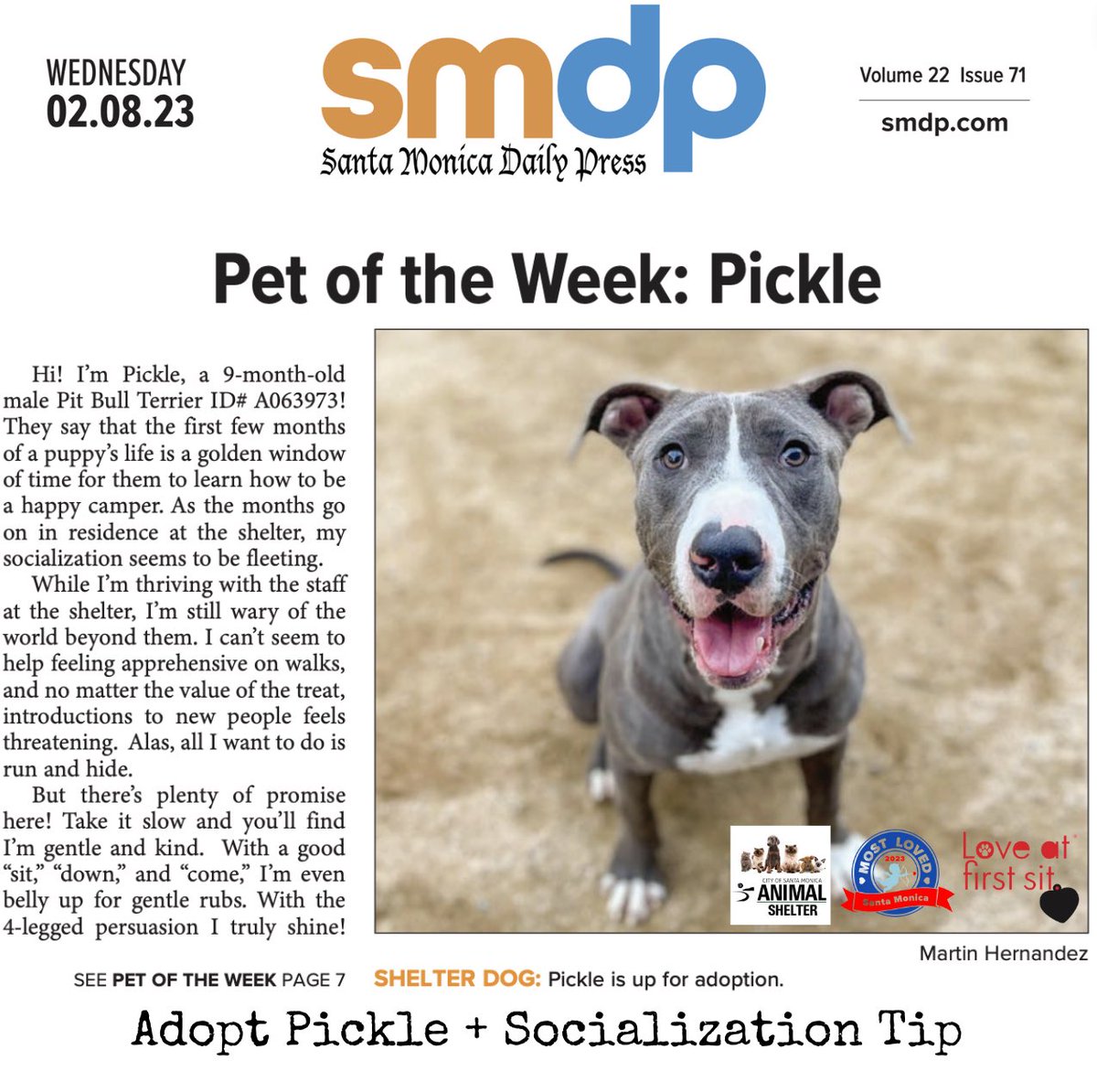 loveatfirstsit's tweet photo. Check out our “Pet of the Week” in the @smdailypress at https://t.co/odBZJkOIpg While ur there, nominate us for Santa Monica’s Most Loved Pet Related Store/Service 2023 at https://t.co/80Wd2FH61M 🗳️Thank you for buying local!❤️ #mostlovedsm2023 #adopt @BuyLocalSM https://t.co/lLXFIJE0Pt