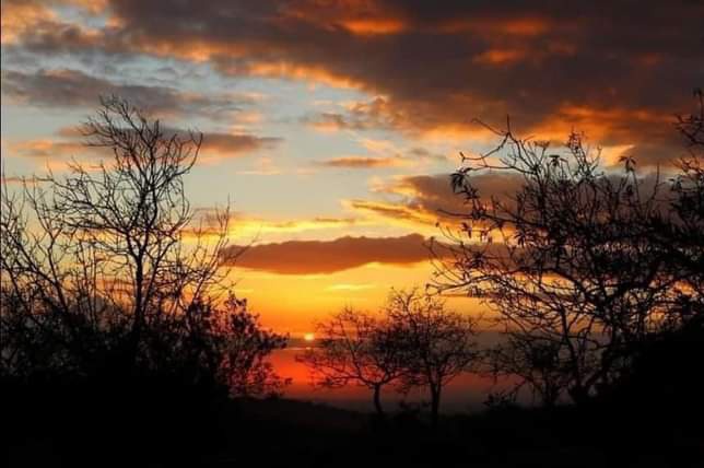 مع غروب الشمس حكاية تخبرنا أنه وإن غربت أشياؤنا الجميلة، لا بد لها من الشروق في يوم آخر بجمال آخر.

#مساء_الخيرᅠᅠ