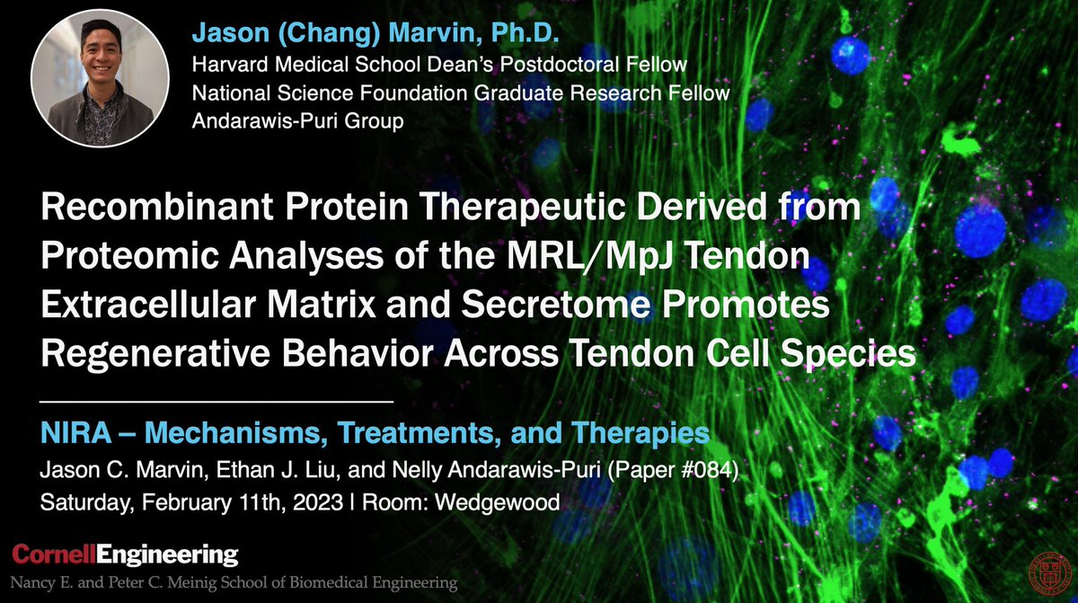 Jason C. Marvin, PhD (he/they) 🏳️‍🌈🇹🇼 tweet media