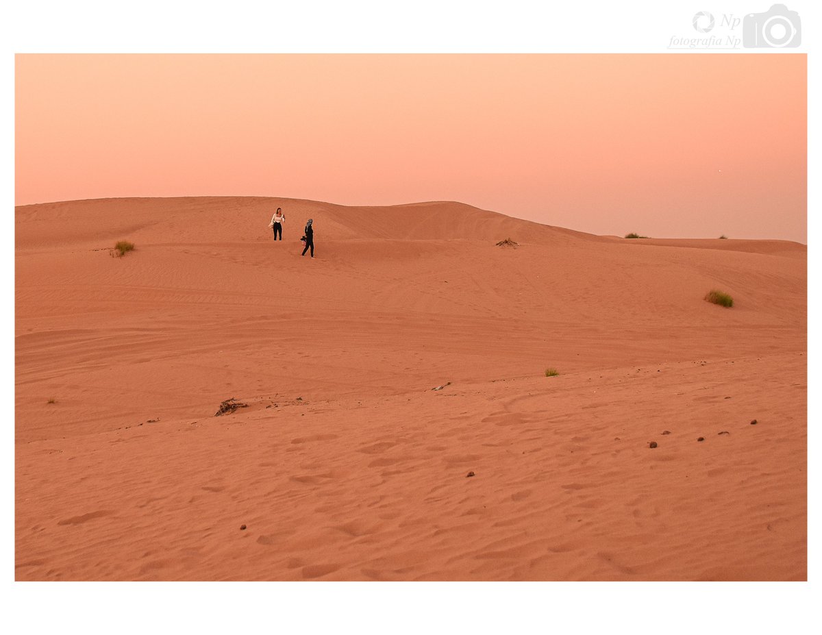 🐪🇦🇪
📸  @fotografia_np
#fotografiaNp
.
#desierto #dubai #emiratosarabesunidos #desert #viaje #travel #fotografie #fotografia #photography #photographer #ph #nikon #nikonista #nikonistas
