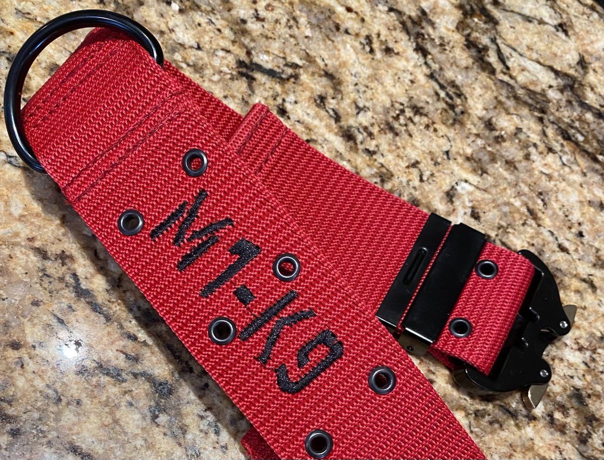 Snydogs's tweet photo. Thrilled about my new gear!!  Thanks @M1K9DogCollars @CollarsM1 https://t.co/J7CqF2aviI