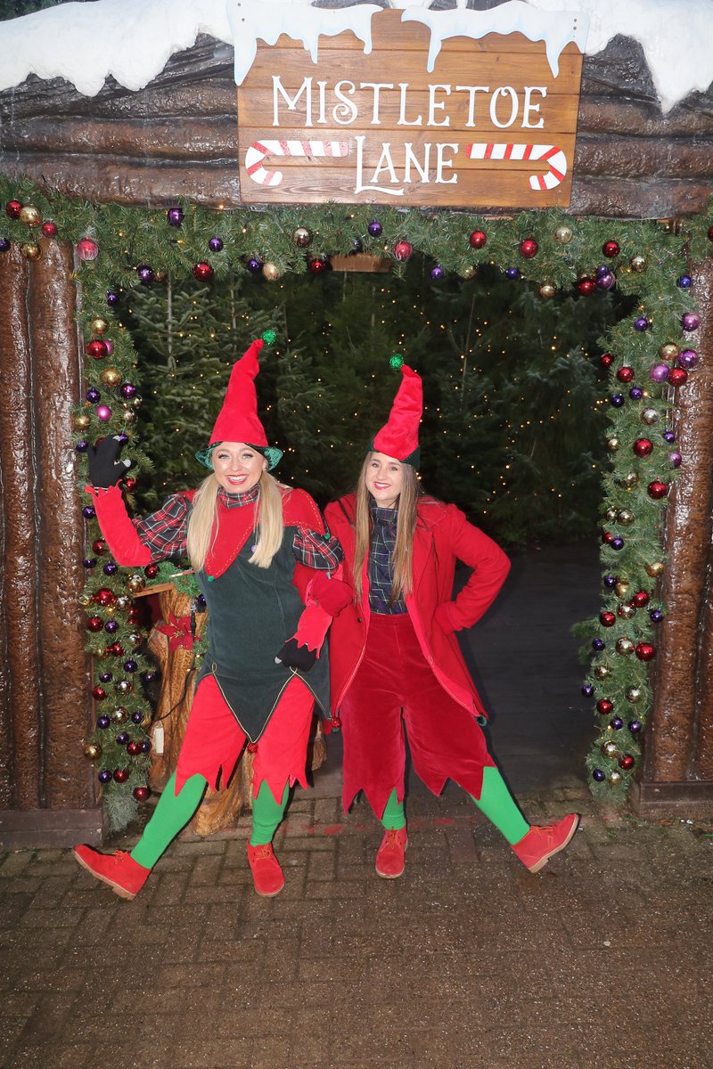 nf_attractions's tweet photo. The last event at @altontowers this year is the Christmas event, it may be different this year with the company behind lightopia going into administration #altontowers #altontowersresort #christmas #lightopia #lightopiafestival #photography #themeparkphotography #themepark https://t.co/5OASktfd8Y