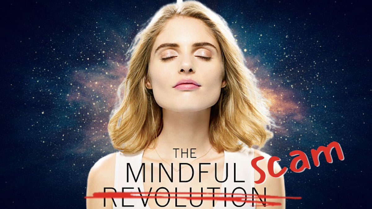 <a href="/vidIQ/">vidIQ</a> McMindfulness: The biggest placebo of the century