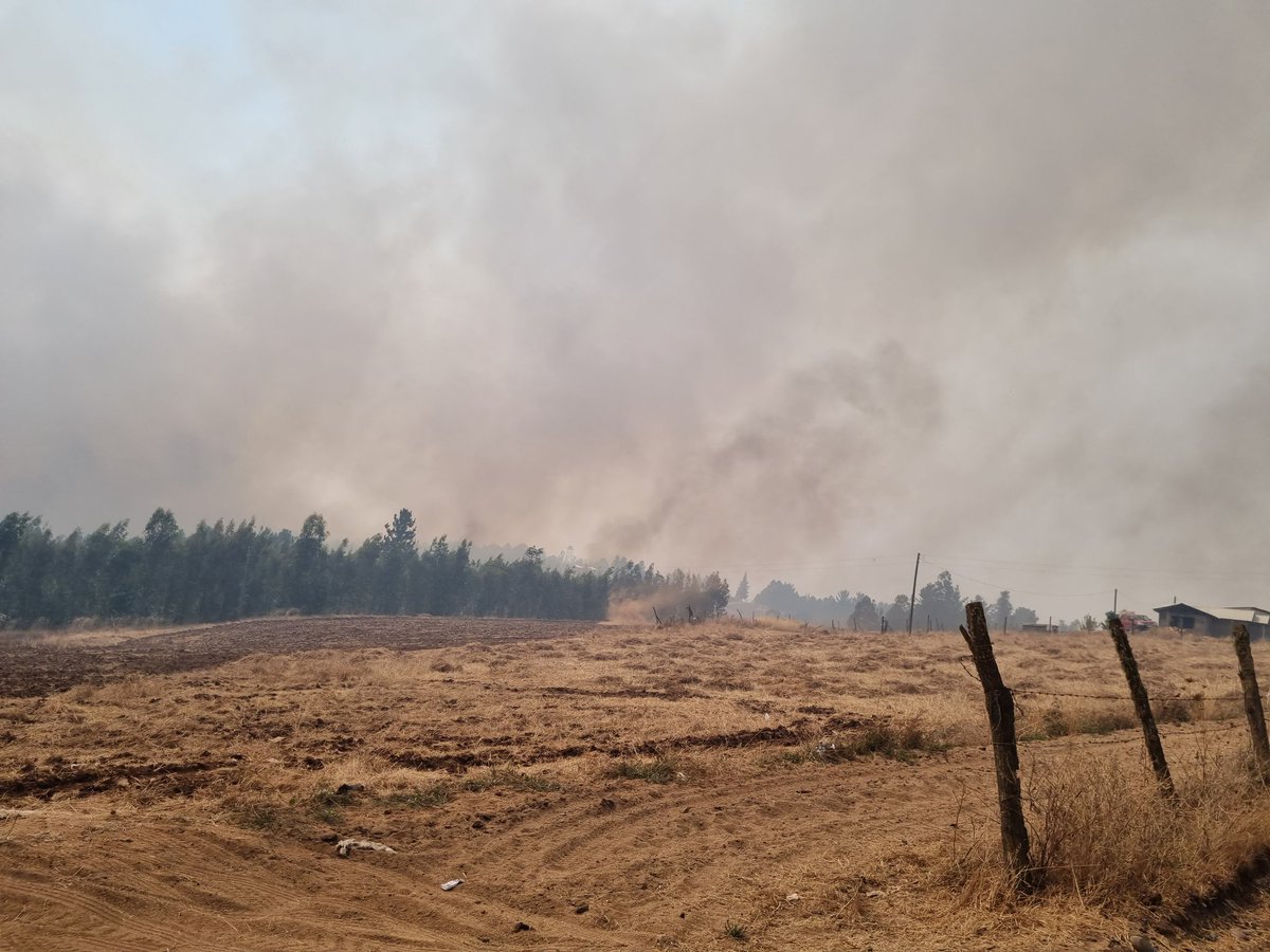 Maria259869051's tweet photo. @verojosverdes @meganoticiascl Más angustiante son los incendios que un temblor. no dan abasto todo esta sin control. 🔥 🚒 🔥 https://t.co/6WjqCdxnks