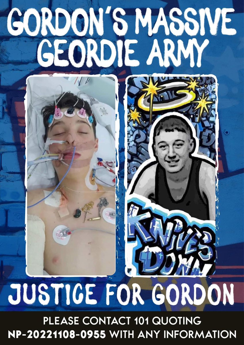 dwayneo1987's tweet photo. Clap for Gordon 🙏💚👏
14th minute Newcastle Utd v Manchester Utd Caraboa Cup Sun 26th Feb. 
Gordon no longer has a voice but we do… RIP Gordon, Forever 14 💚💚 

Please share and join in with the #justiceforgordon tag let’s get this trending thank you @ManUtd @NUFC @Carabao_Cup https://t.co/AuzRVGPaWh