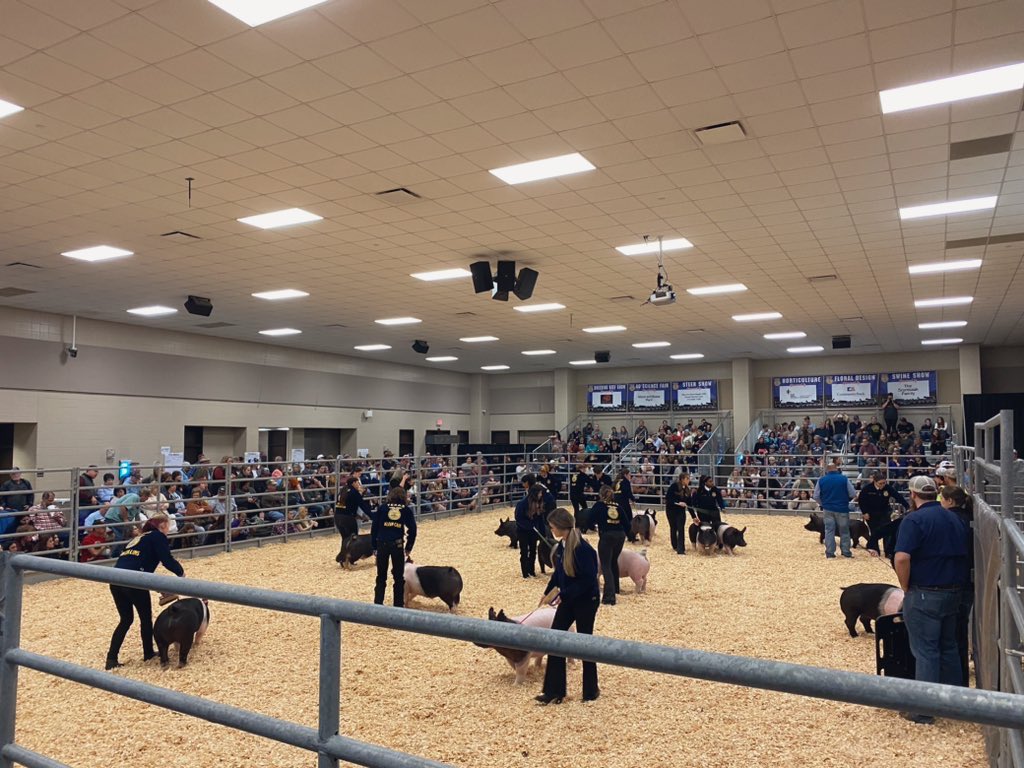 KleinMPC's tweet photo. A full house today for the 54th Annual @KleinISD Livestock &amp; Project
Show! 🐷🏆 @KISD_CTE https://t.co/DYVN3bcZfs