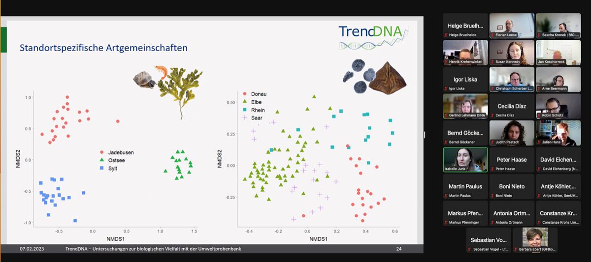 Herzliches Dankeschön an den NutzerInnenbeirat unseres #TrendDNA Projekts <a href="/Umweltbundesamt/">Umweltbundesamt</a> für wertvolles #Feedback zum Projektverlauf. Wir müssen Daten zur #Biodiversität mit relevanten #Treibern verbinden 📉📈<a href="/Senckenberg/">SENCKENBERG</a> <a href="/Fraunhofer_IME/">Fraunhofer IME</a> @KwinkelLab <a href="/LOEWE_TBG/">LOEWE Centre Translational Biodiversity Genomics</a> <a href="/leeselab/">Florian Leese</a> #eDNA