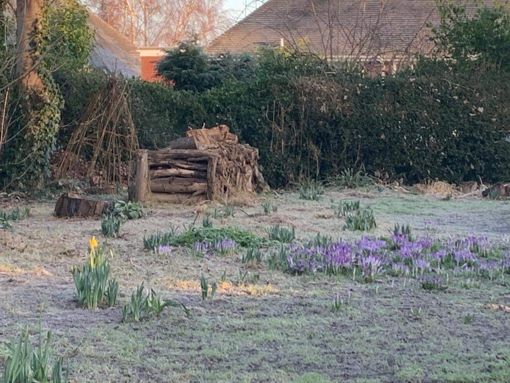 Spring is springing in the library garden 🪴😊