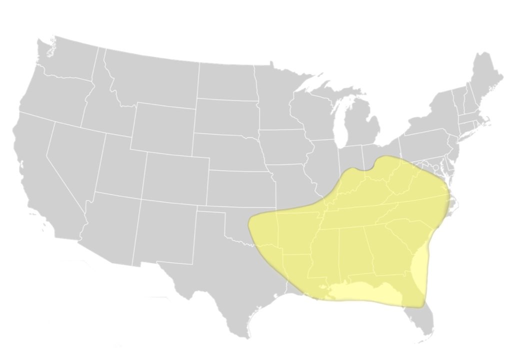 Jay Cuda tweet media