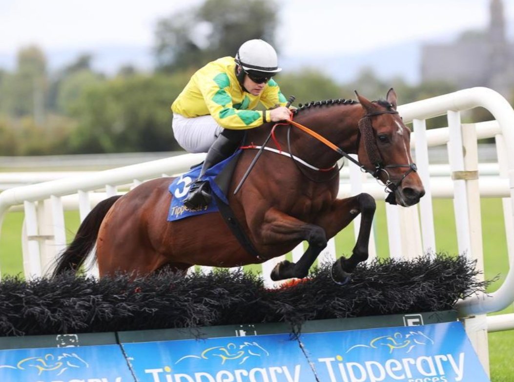racingblogger's tweet photo. 💷 If EFFERNOCK FIZZ &amp; MICHAEL O'SULLIVAN win the 1.50 at Bangor I'll give £50 CASH to one of you Lucky People!! 🥇

To Enter: 

1️⃣ RT this Tweet 
2️⃣ Follow @racingblogger

🇮🇪 https://t.co/MKtySjcIlv

#CheltenhamFestival #afc #Win 🏇 https://t.co/aNs70GEWMh