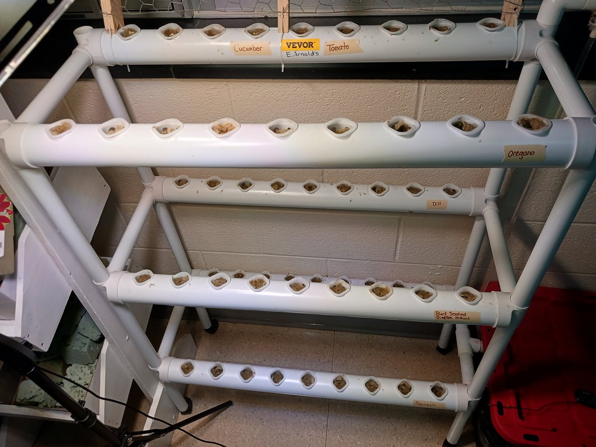 Mrs.EArnold tweet media